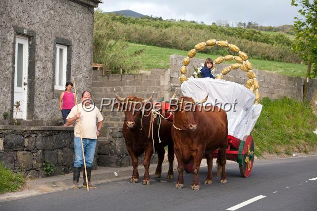 Portugal Acores 15.JPG - Portugal, Açores, île de São Miguel, Mosteiros, char à bœufs traditionnel